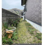 庭全体に草が生えてお手入れが大変な状態です。